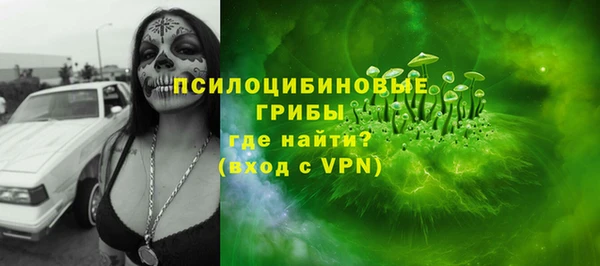 PSILOCYBIN Иннополис