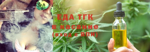 дживик Инта