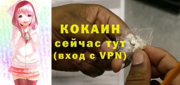 PSILOCYBIN Иннополис