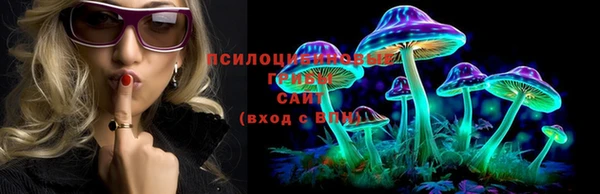 дживик Инта