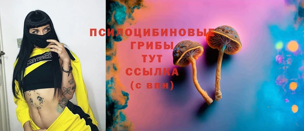 дживик Инта