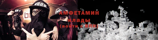 дживик Инта