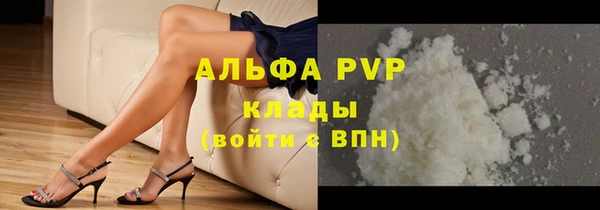 дживик Инта