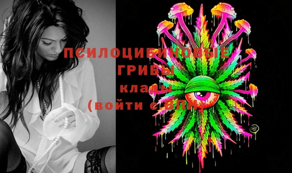 PSILOCYBIN Иннополис