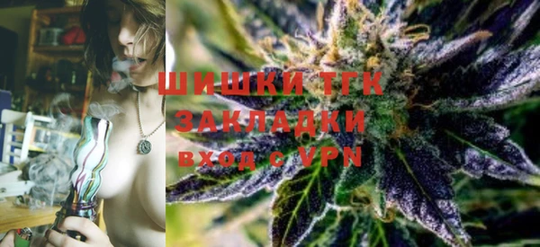 дживик Инта