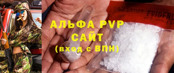 дживик Инта