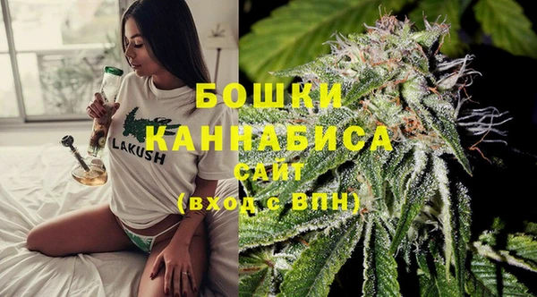 PSILOCYBIN Иннополис