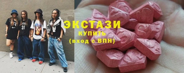дживик Инта