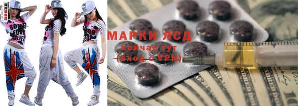 дживик Инта