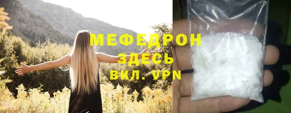 дживик Инта
